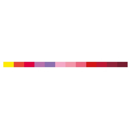 Karin Passion Colors Collection 12 colors Pigment Decobrush |